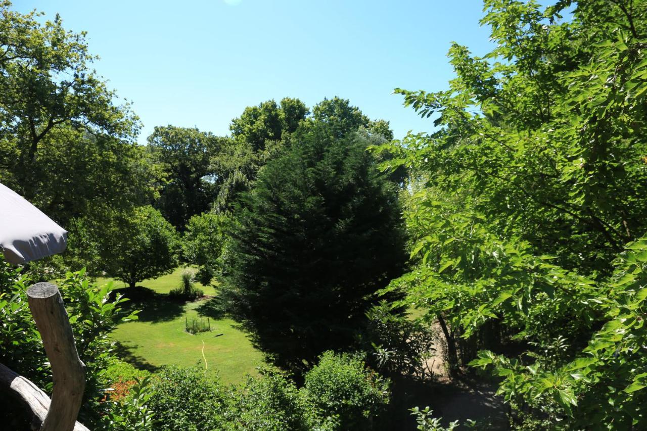 Le Pavillon Vert - B&B Vedène Dış mekan fotoğraf