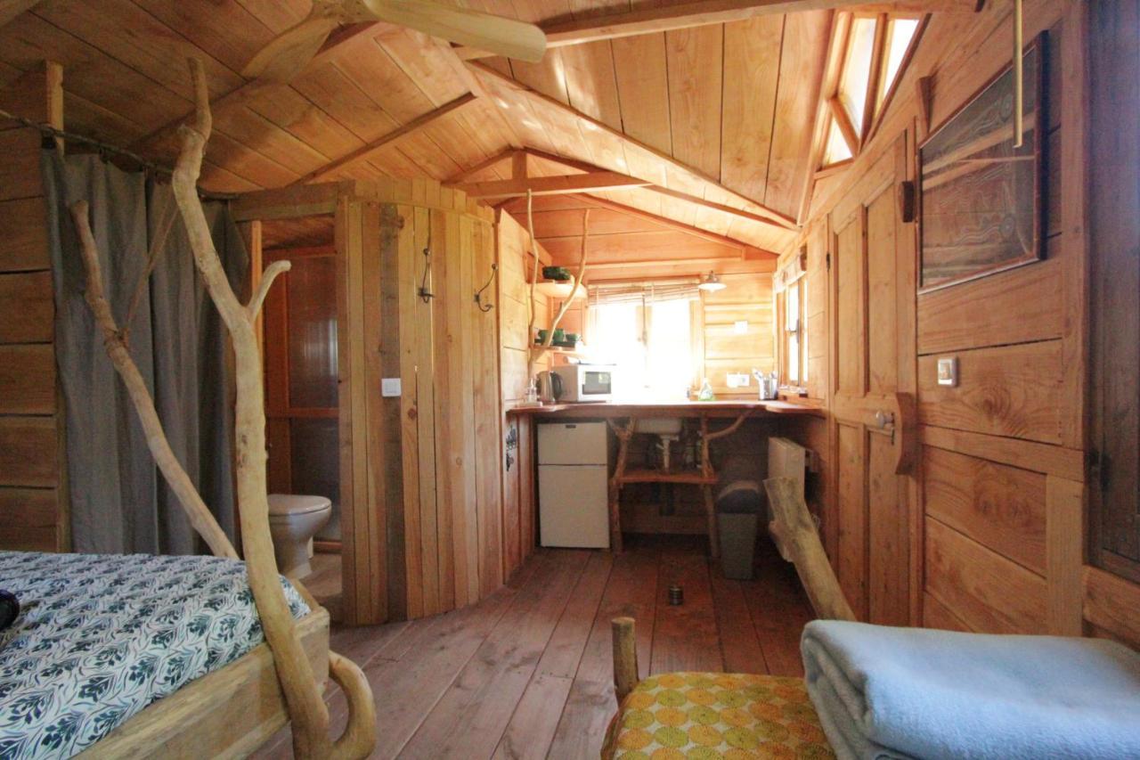 Le Pavillon Vert - B&B Vedène Dış mekan fotoğraf