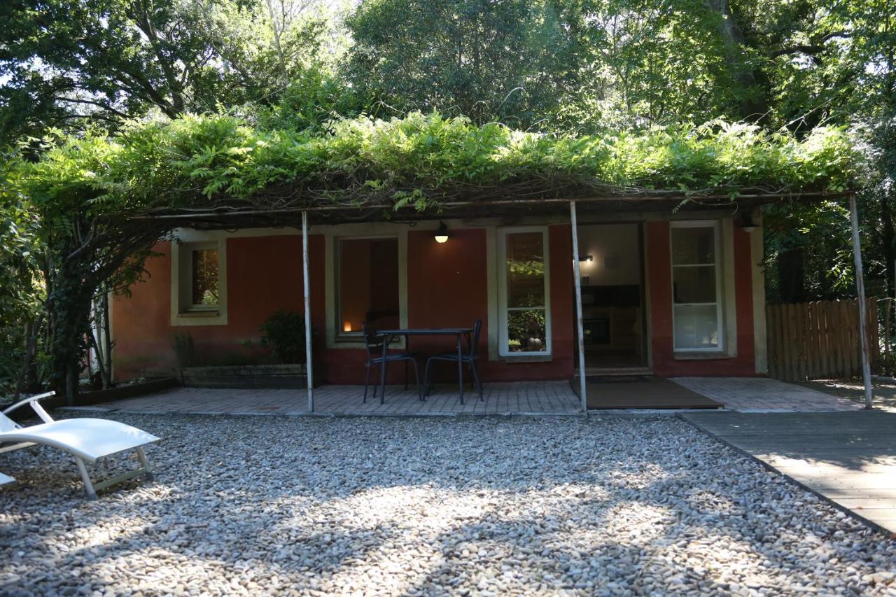 Le Pavillon Vert - B&B Vedène Dış mekan fotoğraf
