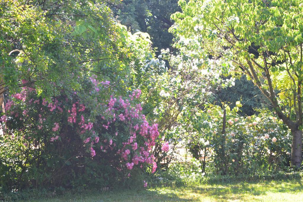 Le Pavillon Vert - B&B Vedène Dış mekan fotoğraf