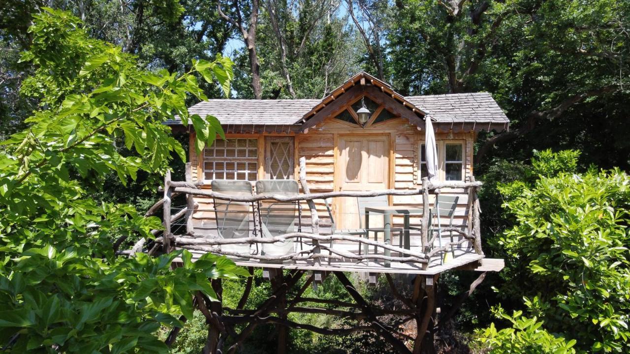 Le Pavillon Vert - B&B Vedène Dış mekan fotoğraf